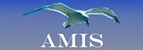 AMIS